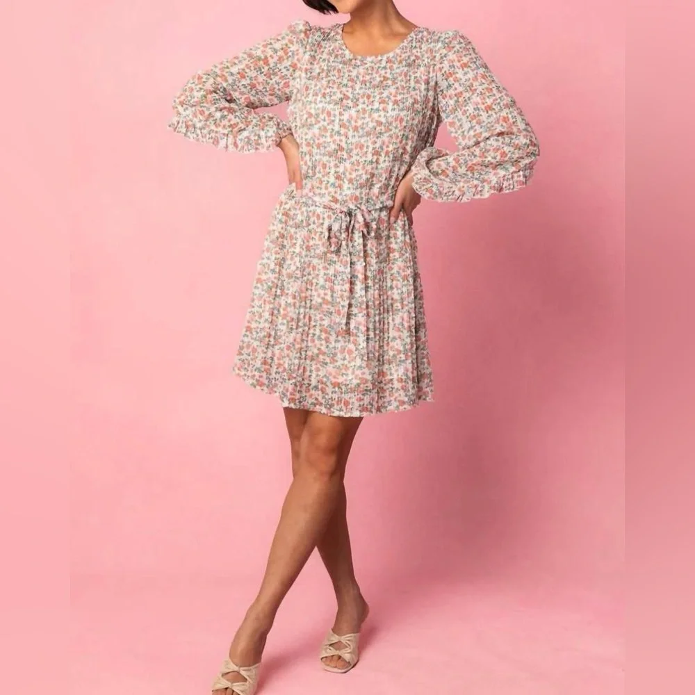 Ivy City Co Chloe Dress